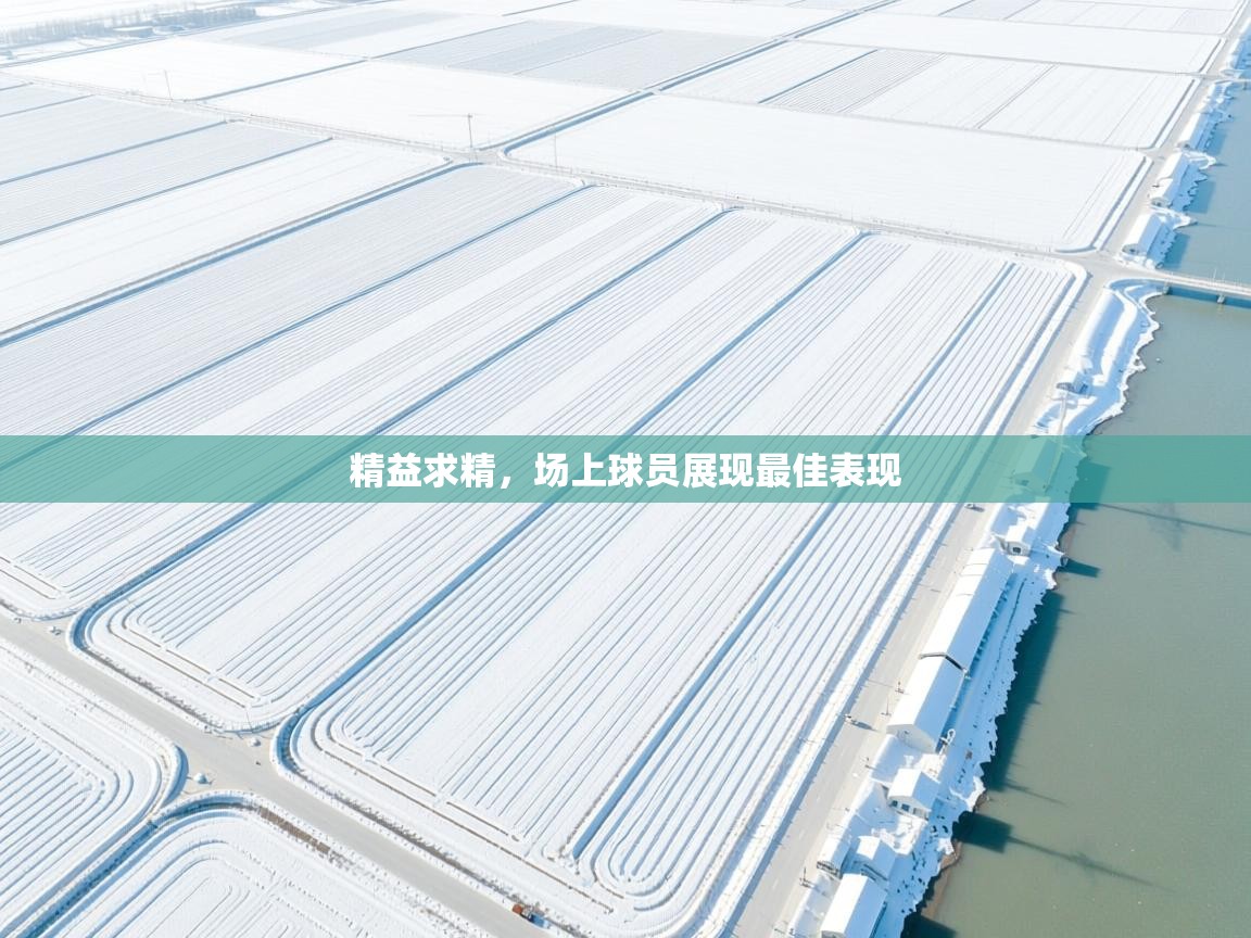 精益求精，场上球员展现最佳表现  第1张