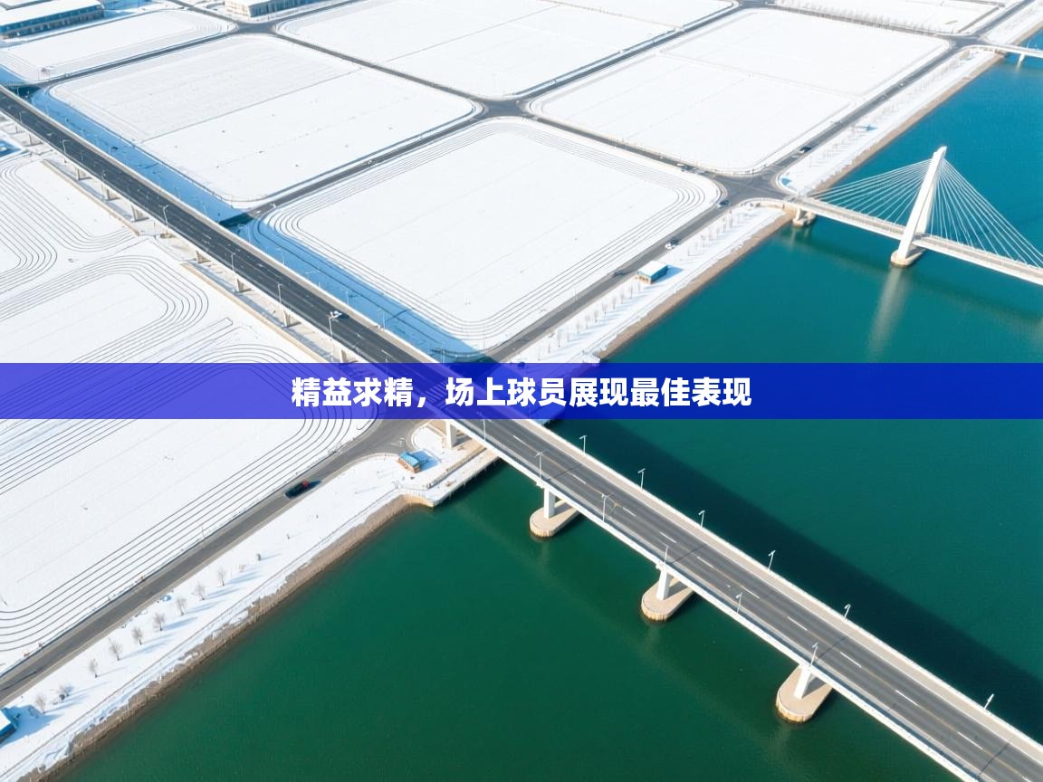 精益求精，场上球员展现最佳表现  第2张